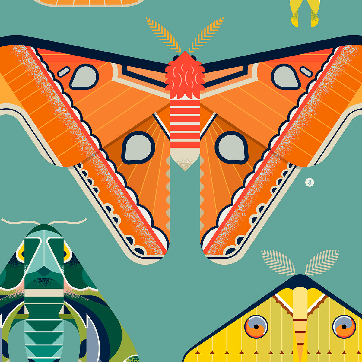 Moths Illustrated Art Print