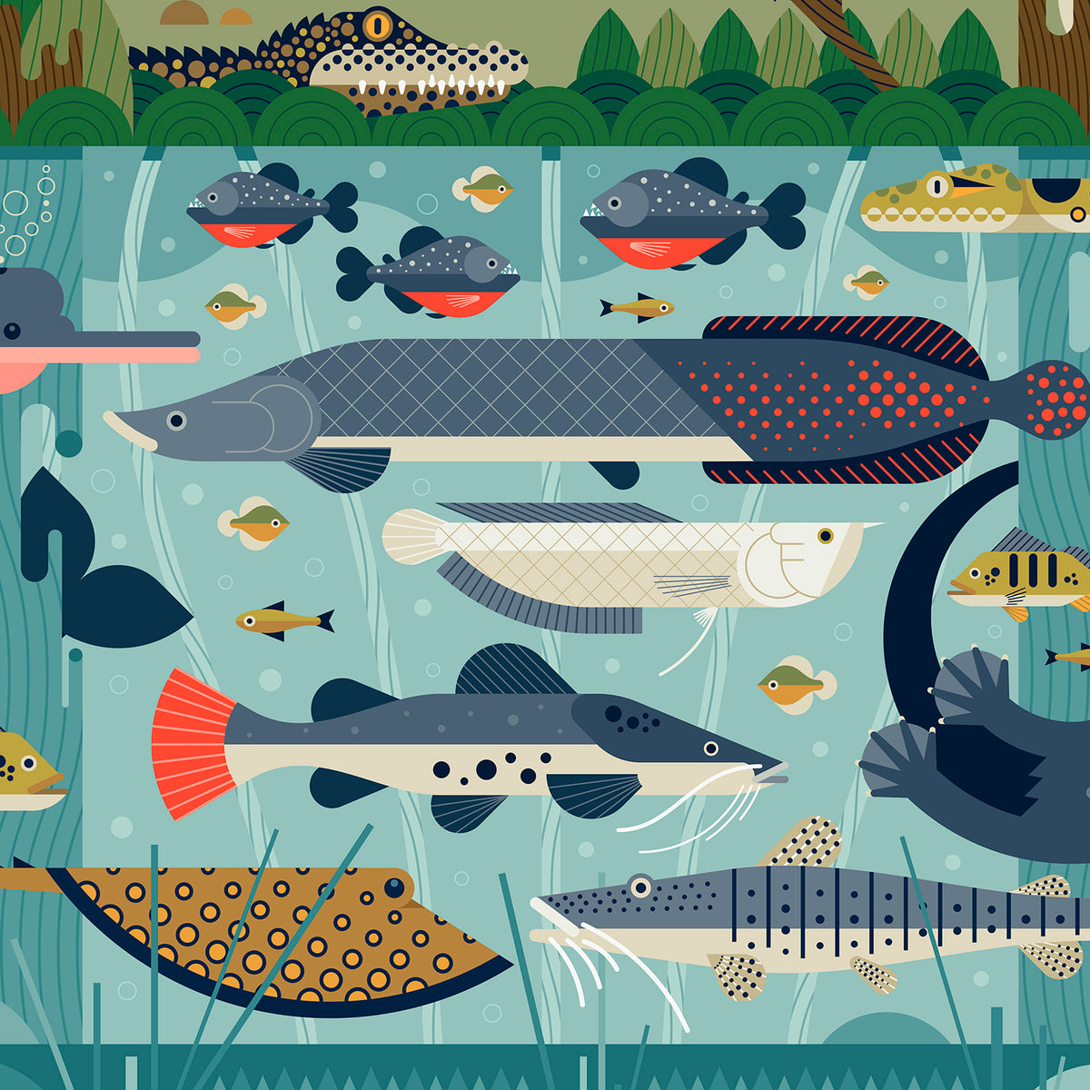 Amazon Rainforest Art Print